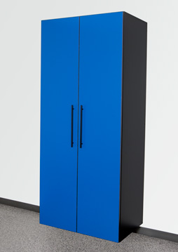 Cobalt Blue/Black Cobalt Blue/Black