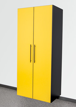 Sonic Yellow/Black Sonic Yellow/Black
