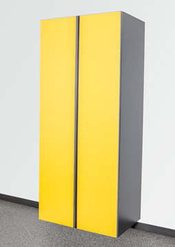 Sonic Yellow/Slate Sonic Yellow/Slate